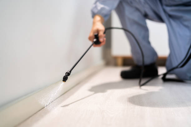 Licensed Pest Control service in Hoosick Falls, NY - Show Me Pest Control